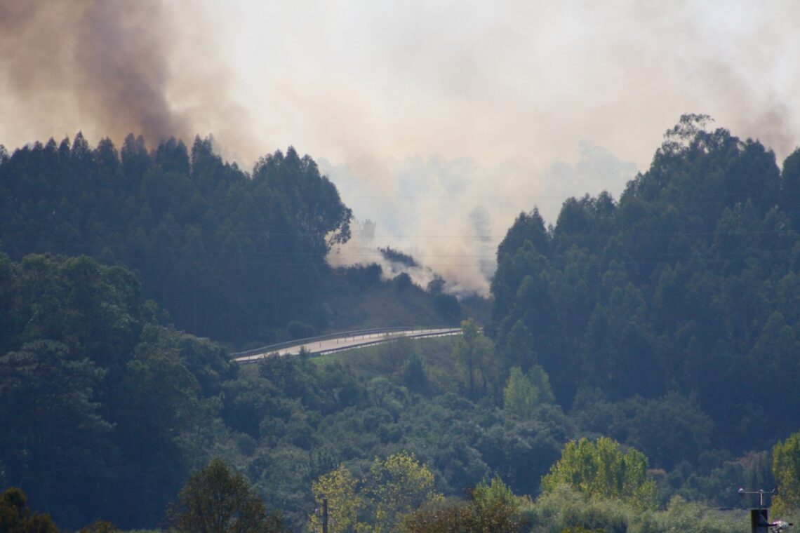 Incêndio deflagrou na zona do Picheleiro