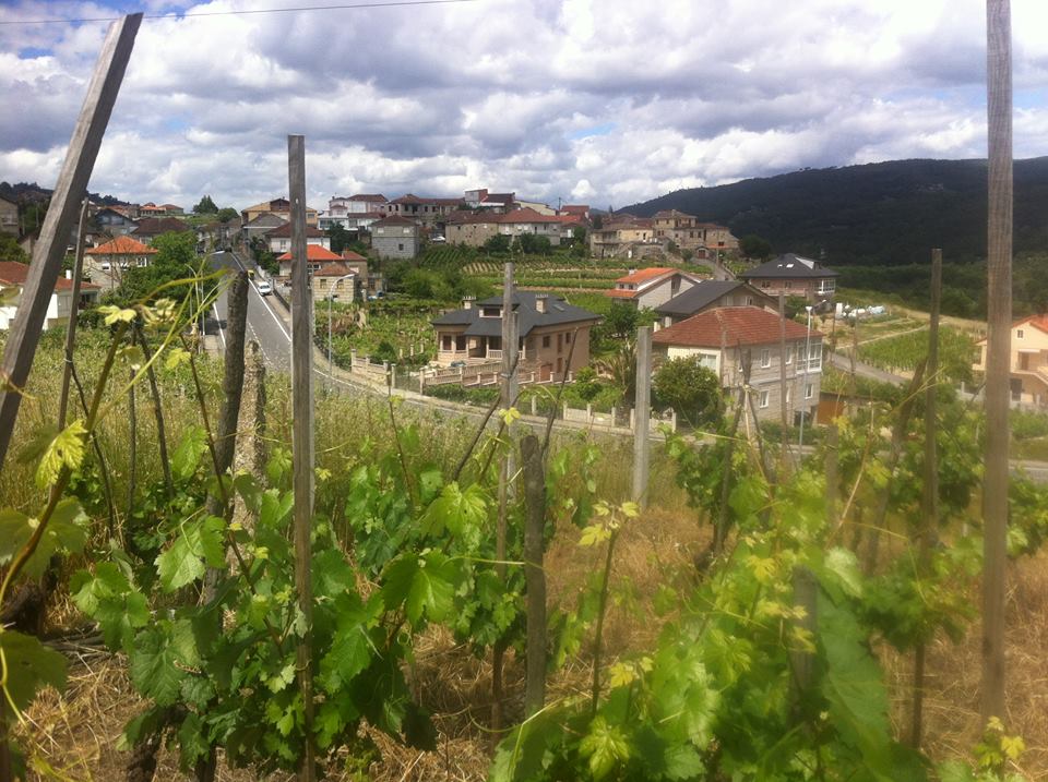 Jornalista de Leiria inaugura novo Caminho de Santiago ‘a solo’