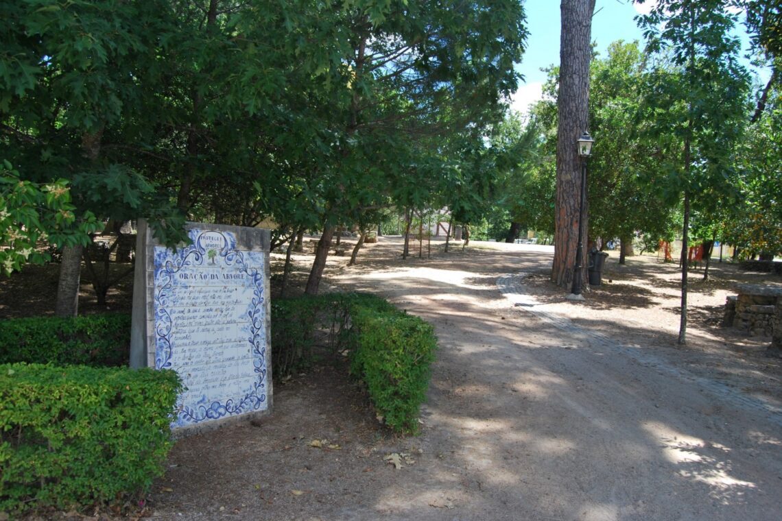 Mata Municipal de Ansião (Foto: CMA)