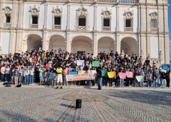 Alunos de Leiria ajudam a criar aviário em São Tomé