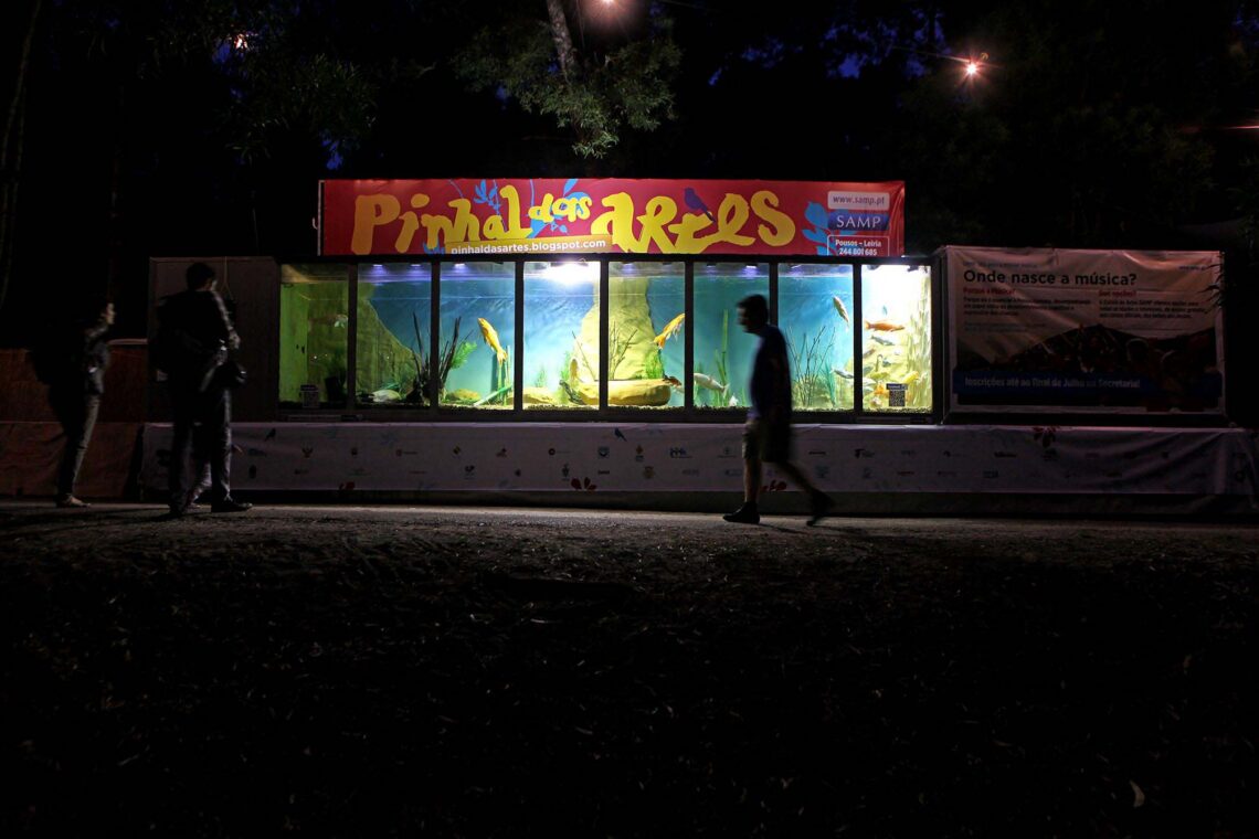Fotografia: Joaquim Dâmaso