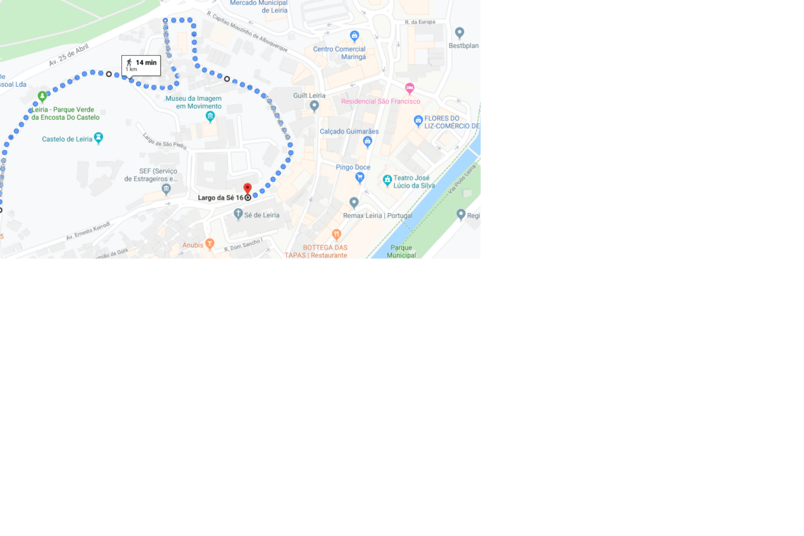Imagem Google Maps