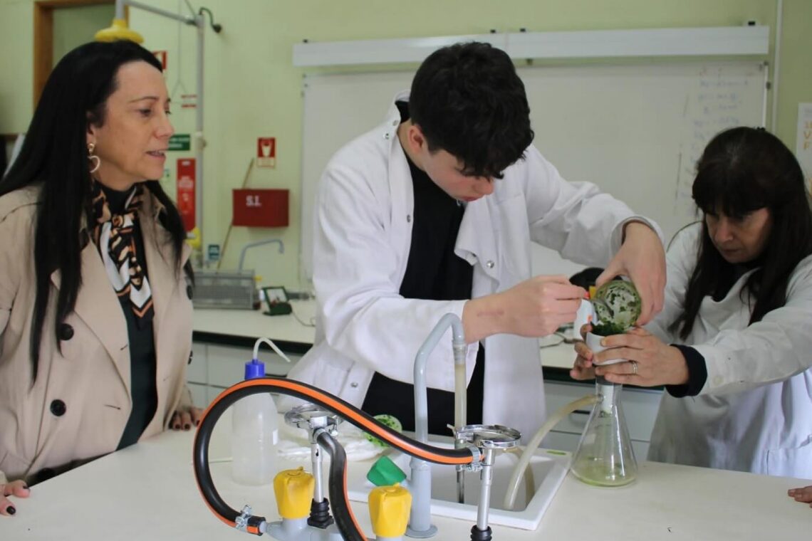 Open day no IDJV
