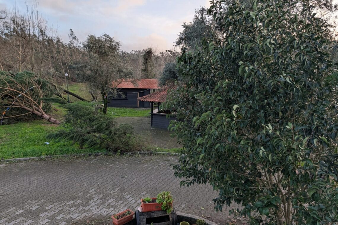 Associação Recreativa e Cultural Valepedrense desafia voluntários a recuperar parque de merendas