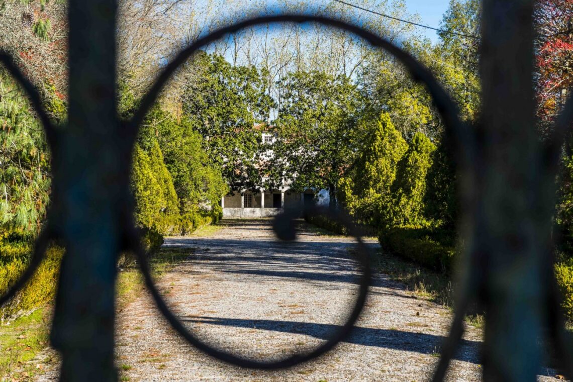 Parque do Engenho há anos à espera de Museu da Floresta