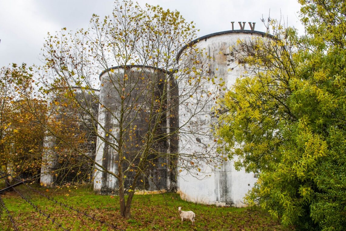 Projecto turístico é hipótese para antigo IVV da Batalha