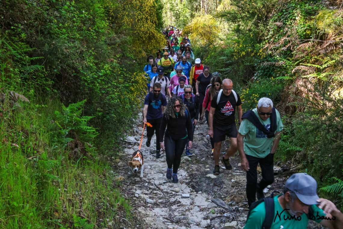 O Brisas do Lis Night Run, o Leiria Run, a Liga das Nações feminina, a Final Four da Allianz Cup e a Rede de Percursos Pedestres de Leiria estão a votos