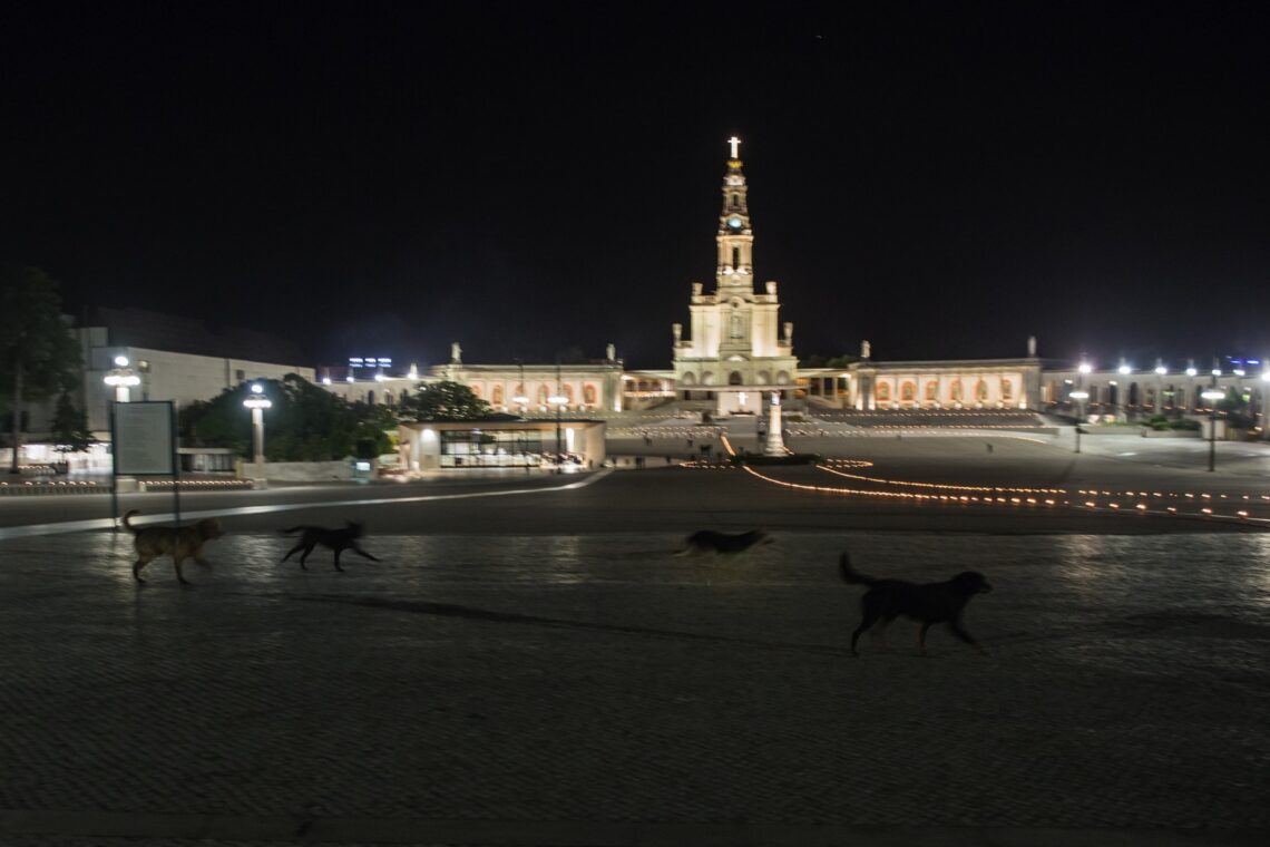 Fátima, 12 de Maio de 2020