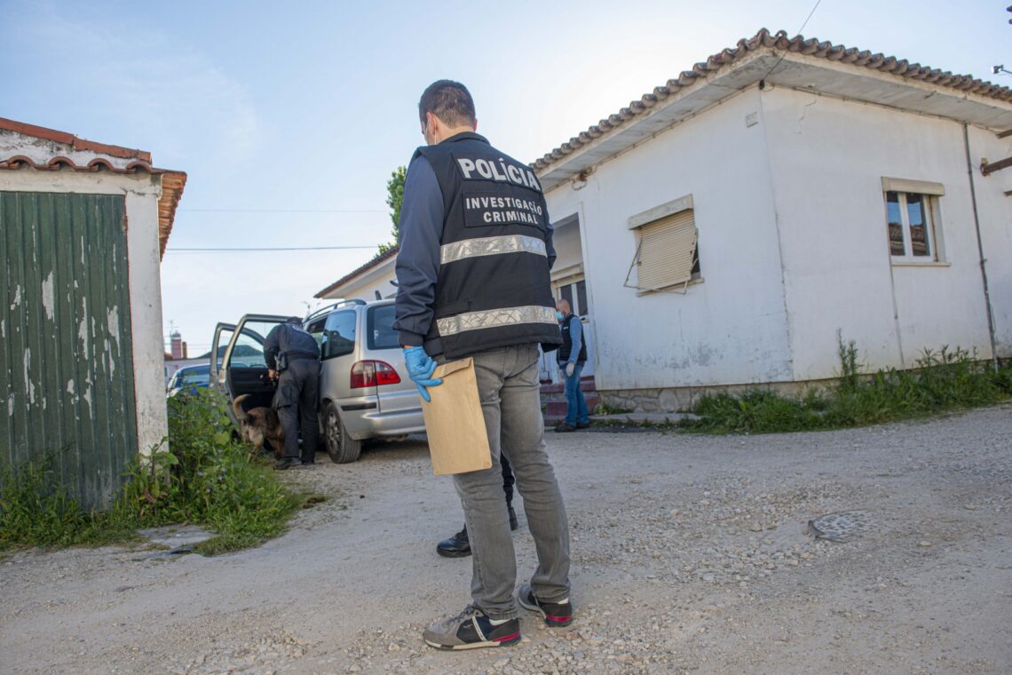 Mega-operação da PSP de Leiria fez 12 detidos