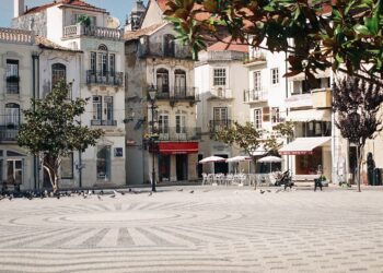 As quatro árvores cortadas vão ser substituídas por outras