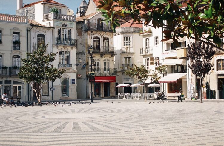 As quatro árvores cortadas vão ser substituídas por outras