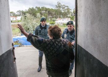 Censos Sénior realizam-se desde 2011