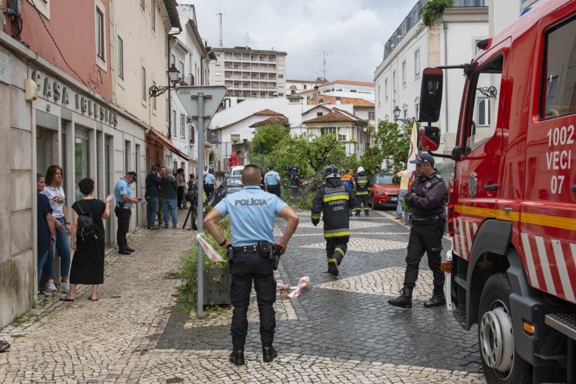 Árvore caiu hoje pelas 11:30 horas