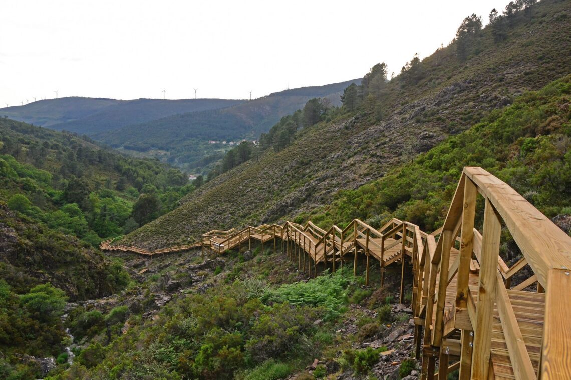 Dois motivos para visitar o Pinhal Interior em forma de passadiço