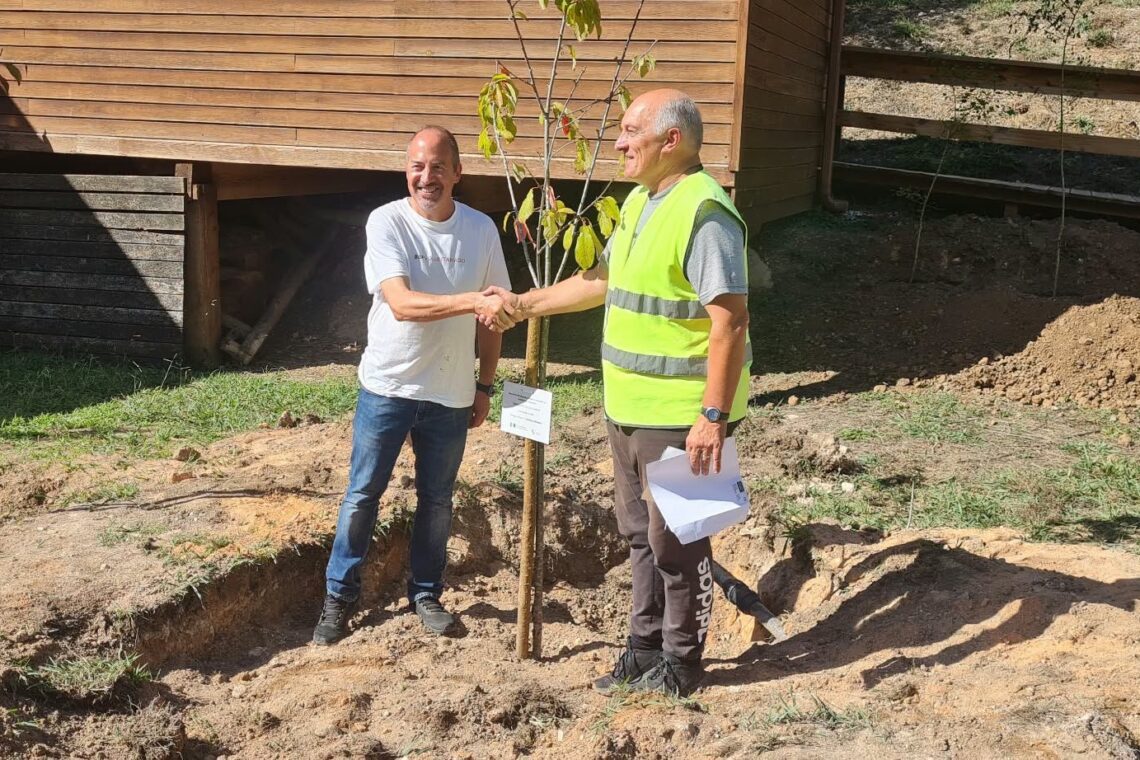 Governador do Banco de Portugal, Álvaro Santos Pereira, ajudou a limpar espaço verde