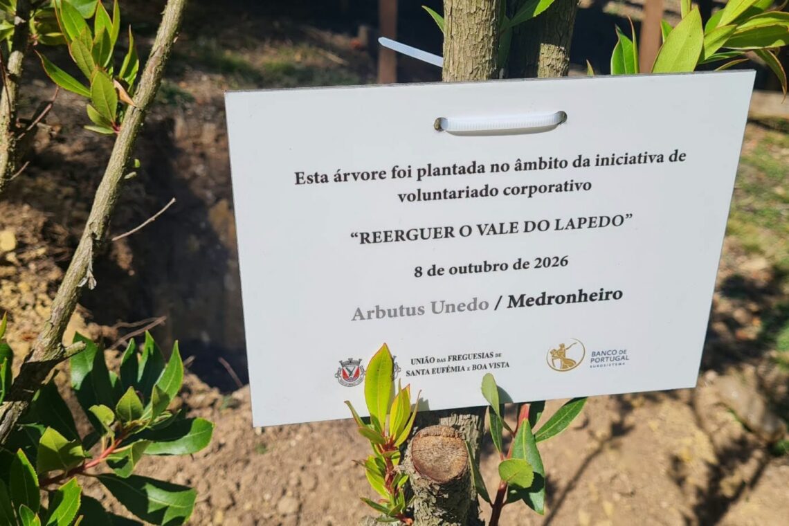 Governador do Banco de Portugal, Álvaro Santos Pereira, ajudou na limpeza do espaço