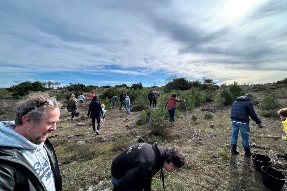 Voluntários aproveitaram a época mais propícia do ano para proceder à plantação de árvores