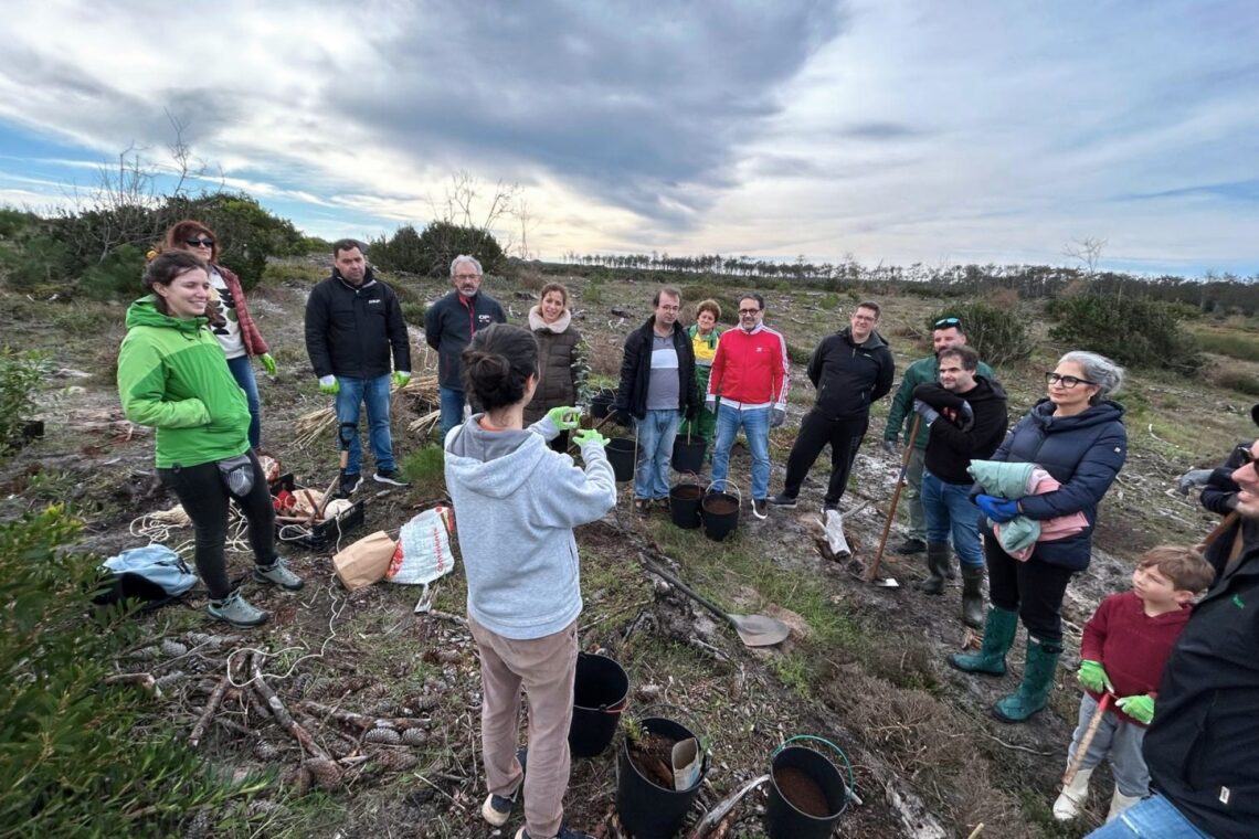 Voluntários aproveitaram a época mais propícia do ano para proceder à plantação de árvores
