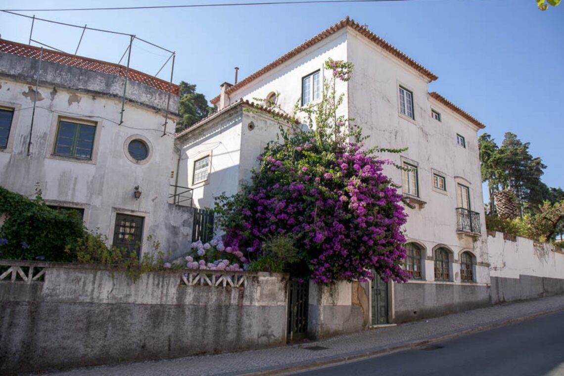 Aberto concurso para concessão de antiga sede de serviços florestais em Leiria e do posto fiscal de São Pedro de Moel