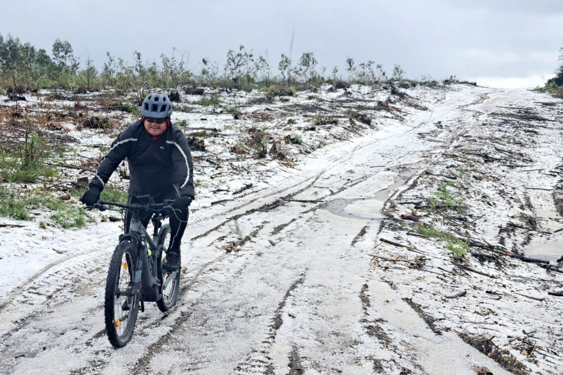 Efeito da queda de granizo na zona da Serra do Branco