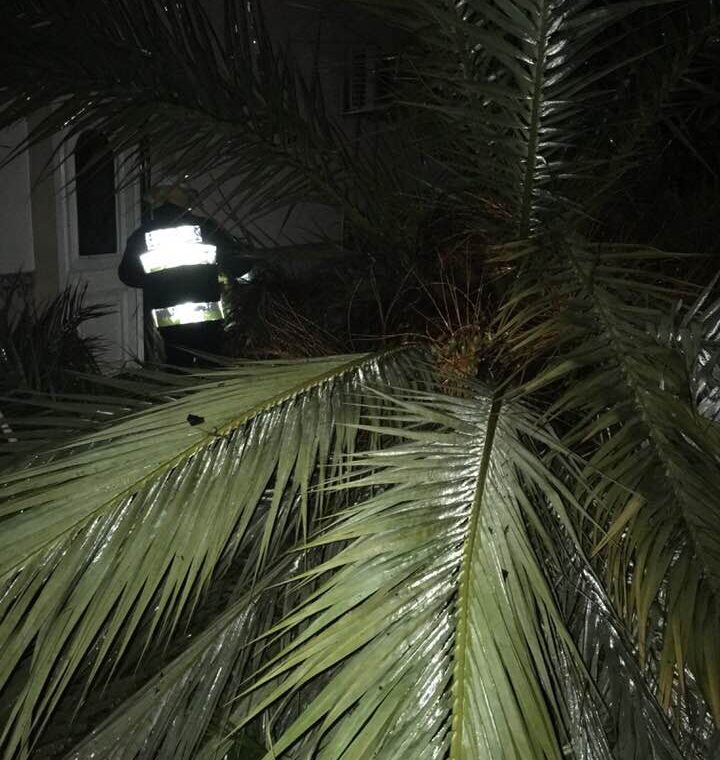 Símbolo do Reguengo do Fètal não resistiu à Ana e caiu por terra