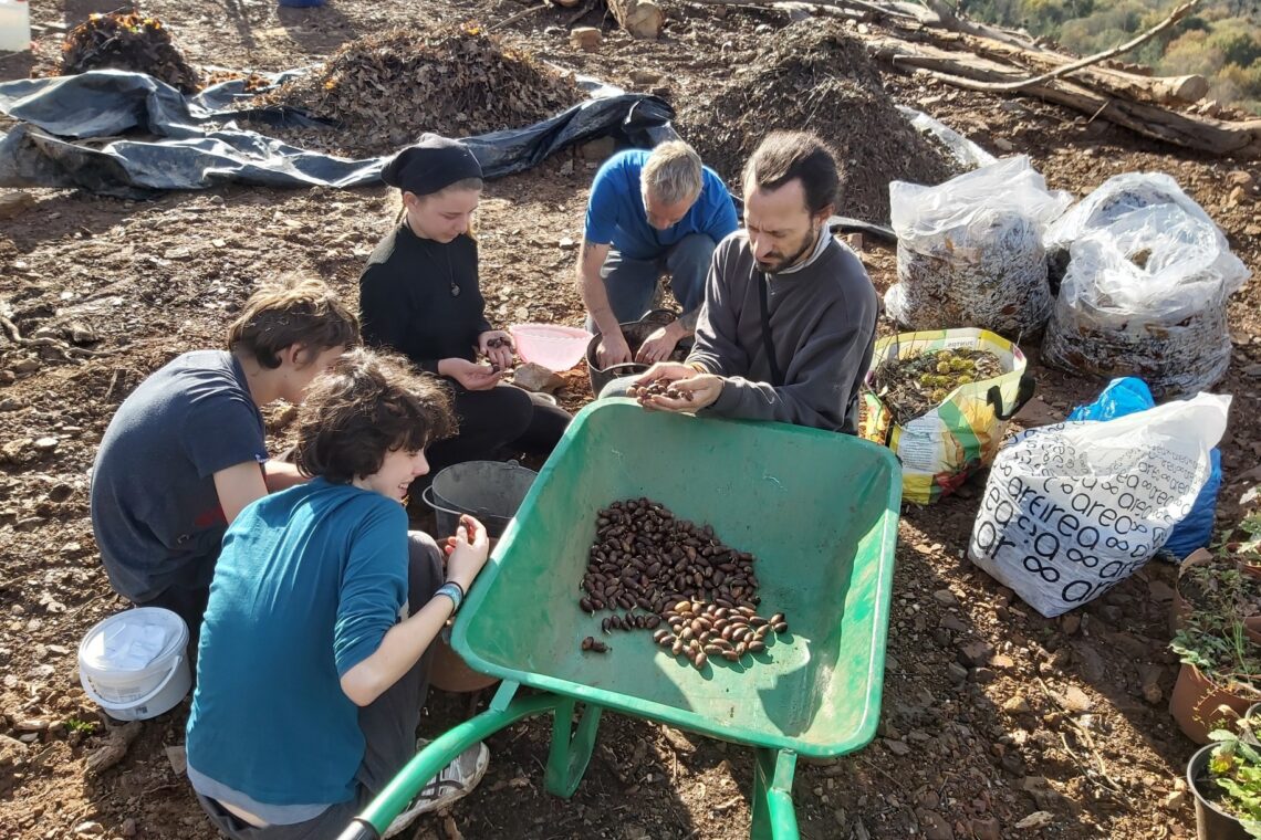 Miguel e Xavier querem “curar” a terra em Pedrógão Grande e pedem ajuda