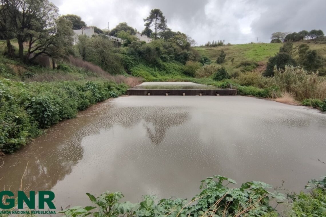 Efluentes pecuários escorrem para ribeira em Caldas da Rainha