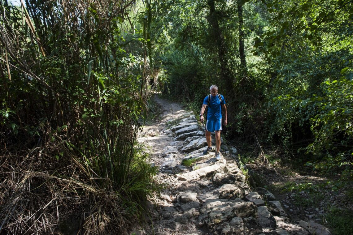 Fotografia: Ricardo Graça