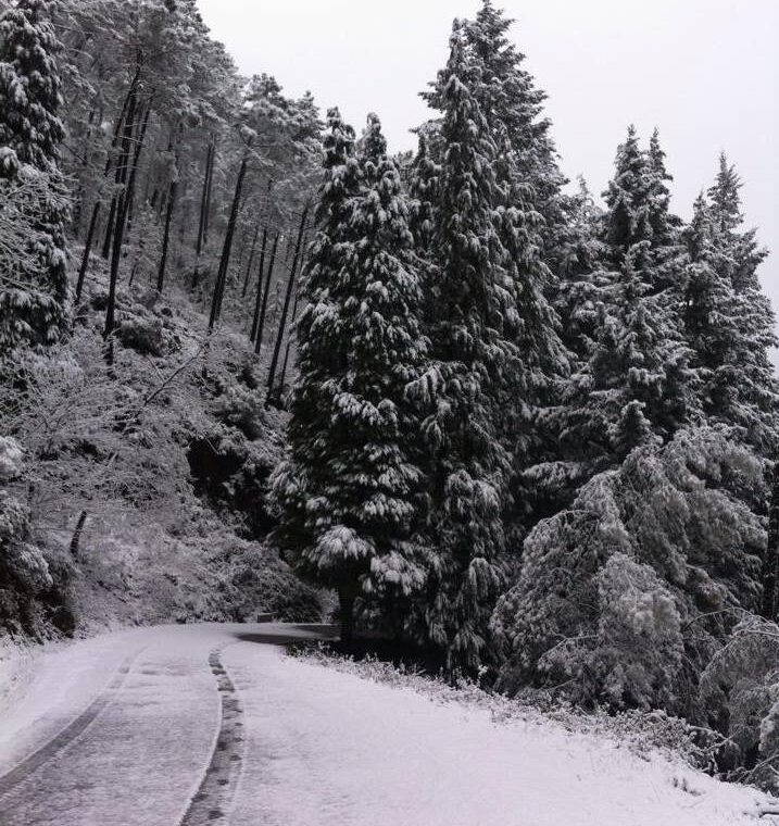 Veja a fotogaleria de Castanheira de Pera pintada de neve
