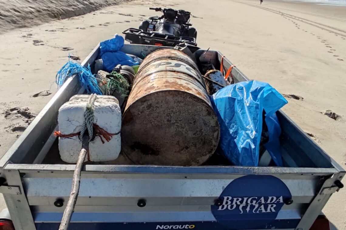 Voluntários da Brigada do Mar limpam praia entre São Pedro e a Figueira da Foz