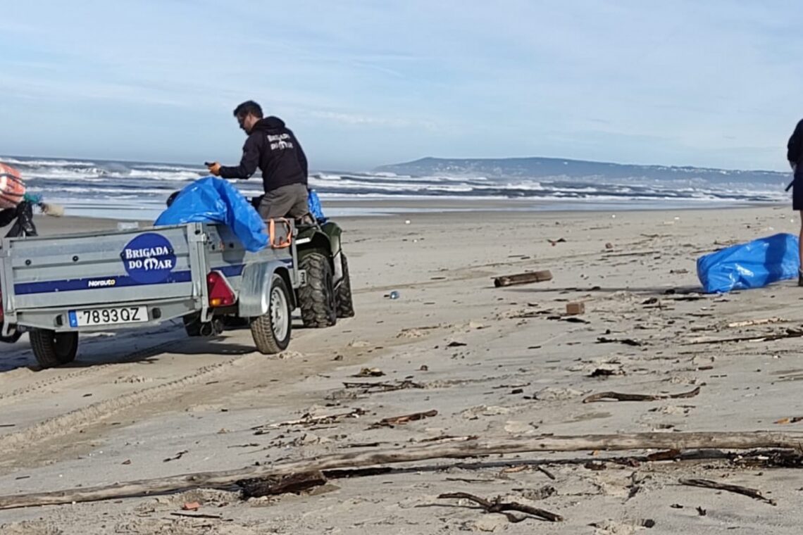 Voluntários da Brigada do Mar limpam praia entre São Pedro e a Figueira da Foz