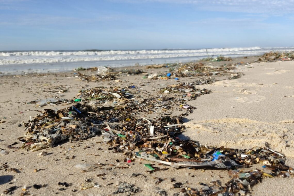 Voluntários da Brigada do Mar limpam praias entre São Pedro e a Figueira da Foz