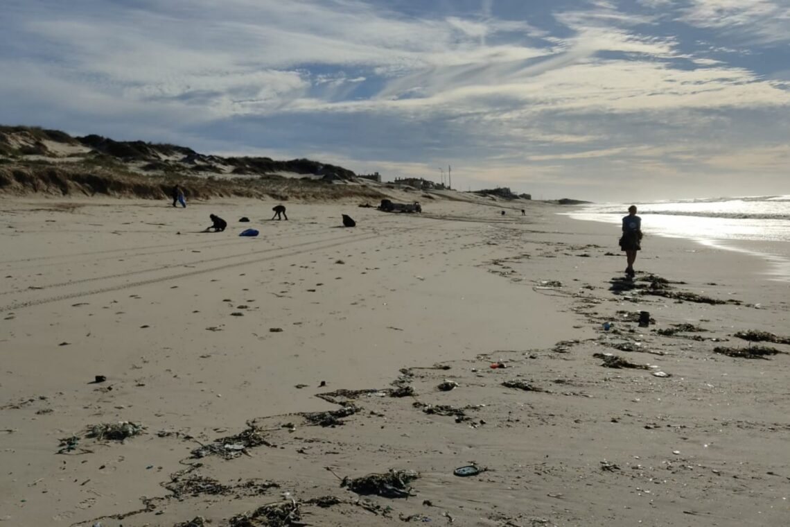 Voluntários da Brigada do Mar limpam praias entre São Pedro e a Figueira da Foz